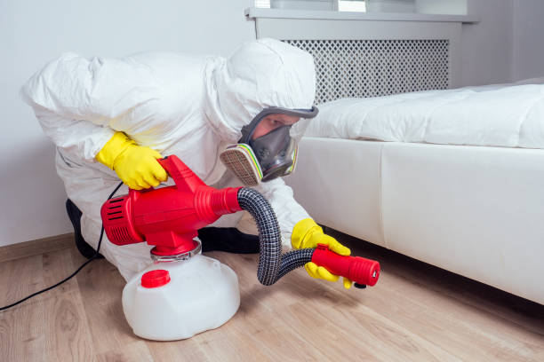 Best Pest Exclusion Services  in Anson, TX